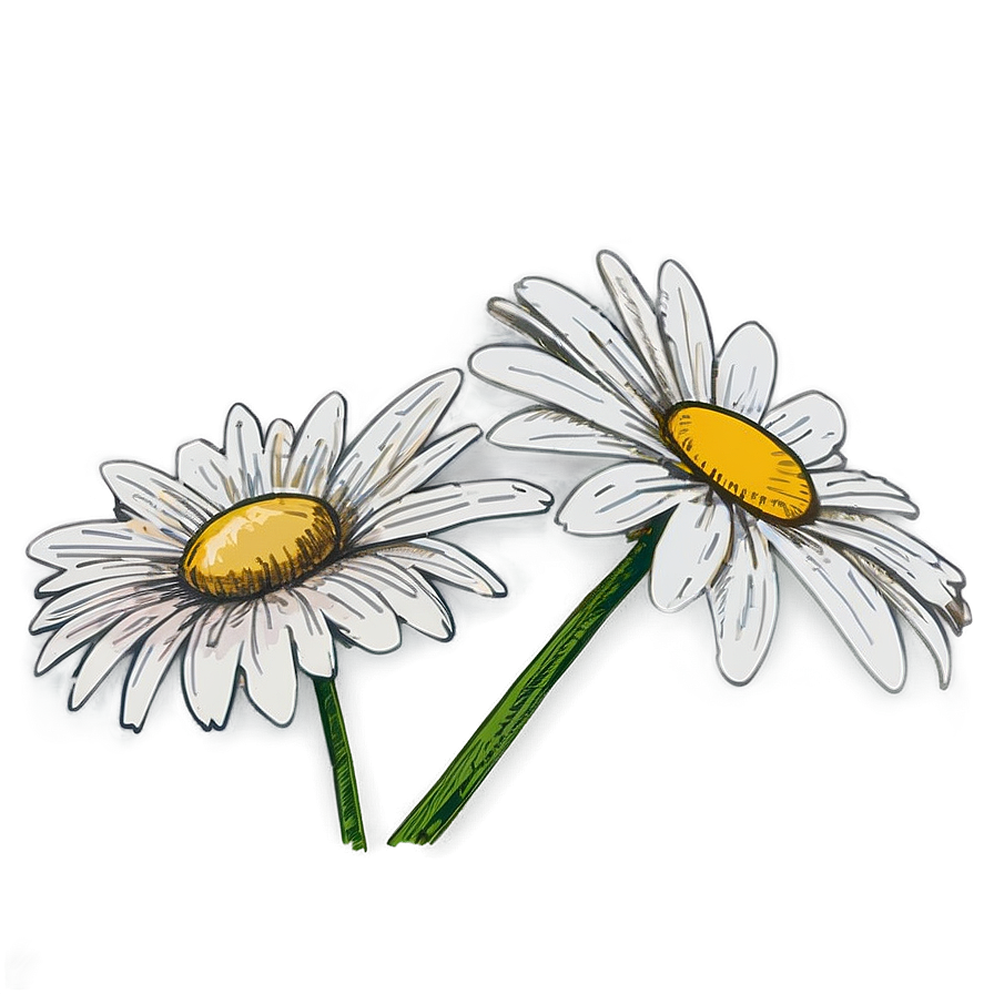 Daisy Sketch Png Qnx87 PNG image