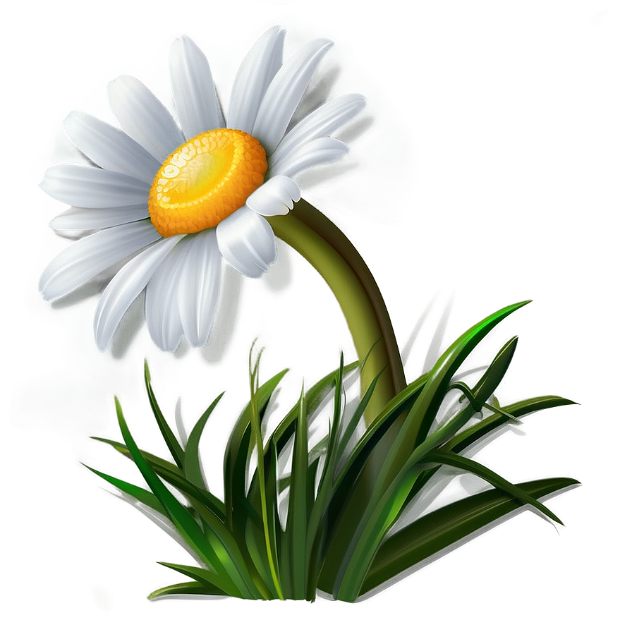 Daisy Vector Png Tvq94 PNG image