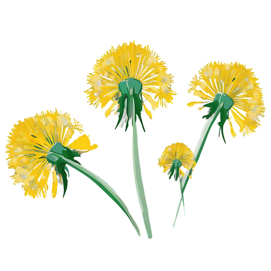 Dandelion Bouquet Art Png 89 PNG image