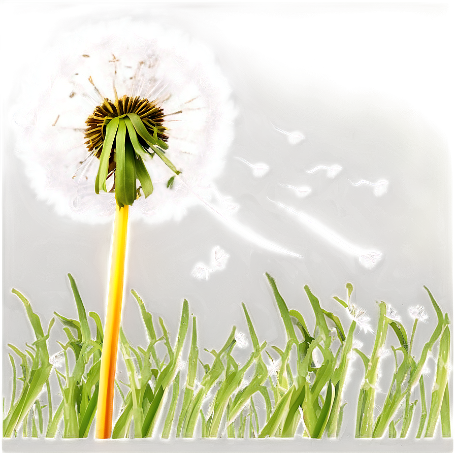 Dandelion Landscape Png Lnf72 PNG image