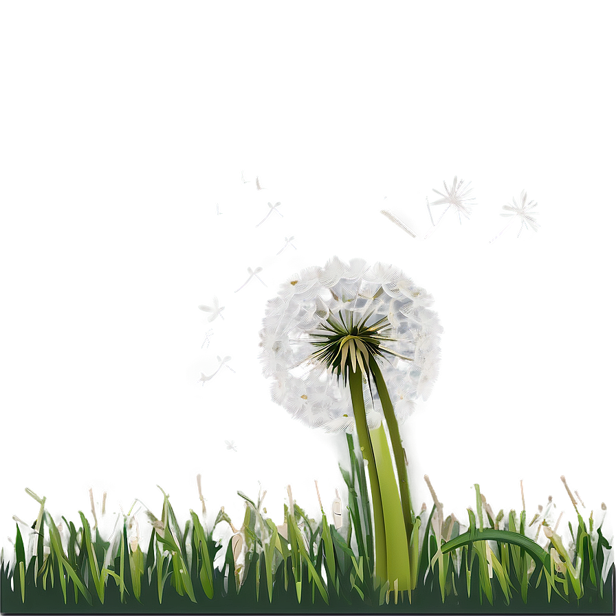 Dandelion Png PNG Images (200++)