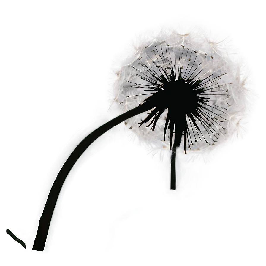 Dandelion Silhouette Png 96 PNG image