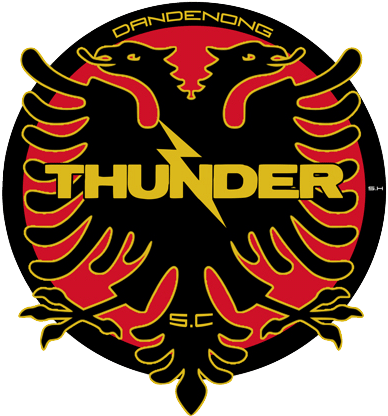 Dandenong Thunder S C Logo PNG image