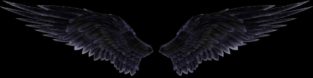 Dark Angel Wings Spread PNG image