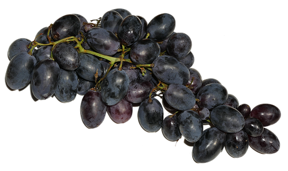 Dark Black Grapes Cluster PNG image