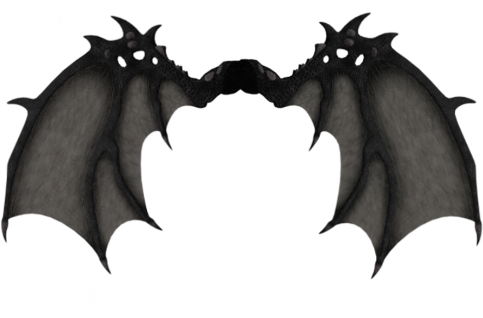 Dark Demon Wings PNG image