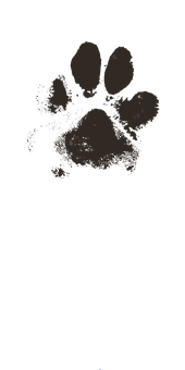 Dark Dog Paw Print PNG image