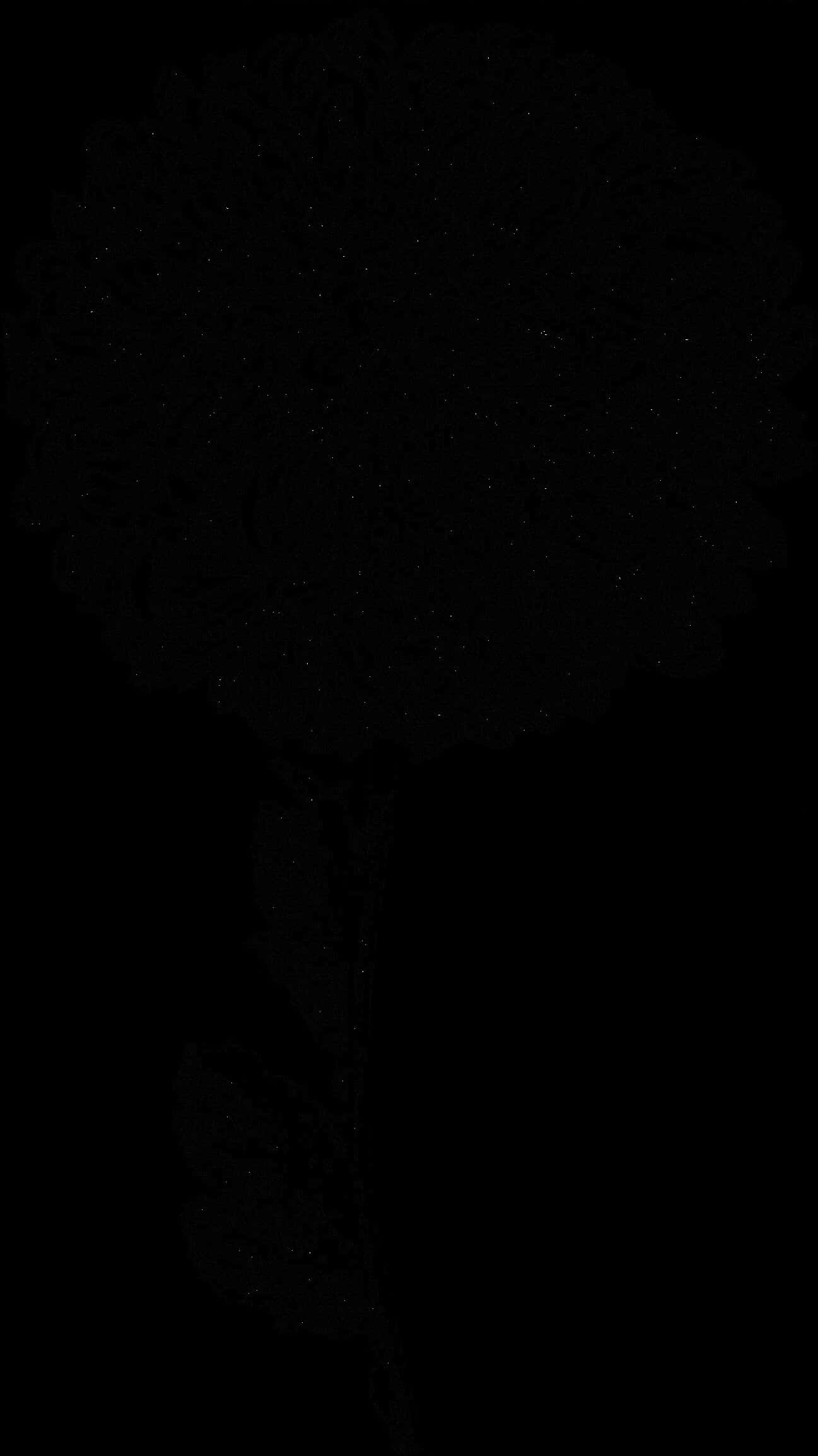 Dark Floral Silhouette PNG image