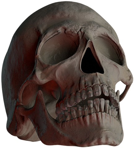 Dark Human Skull3 D Render PNG image