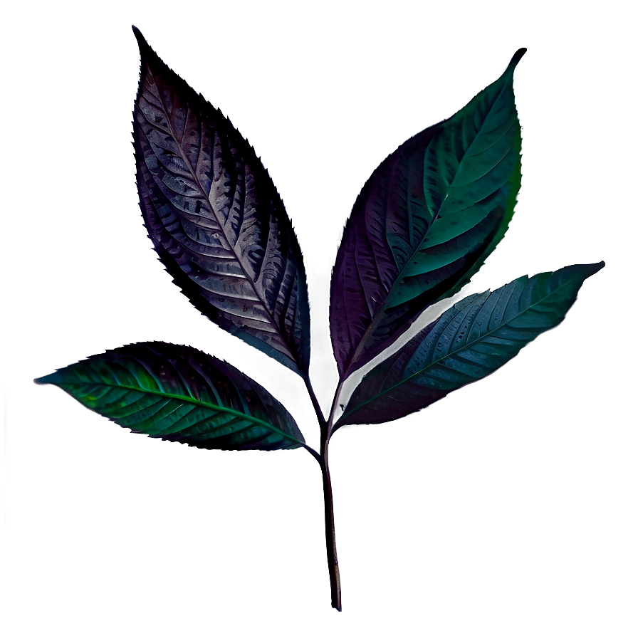 Dark Leaves Png 05042024 PNG image