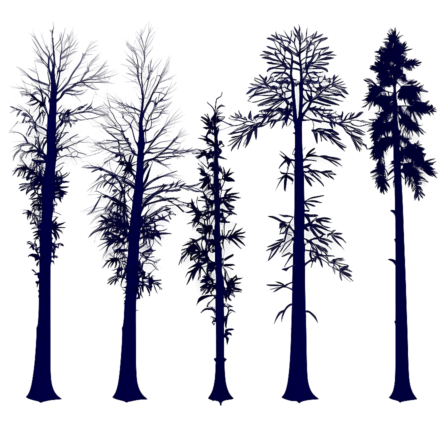 Dark Moody Forest Trees Png Irr29 PNG image