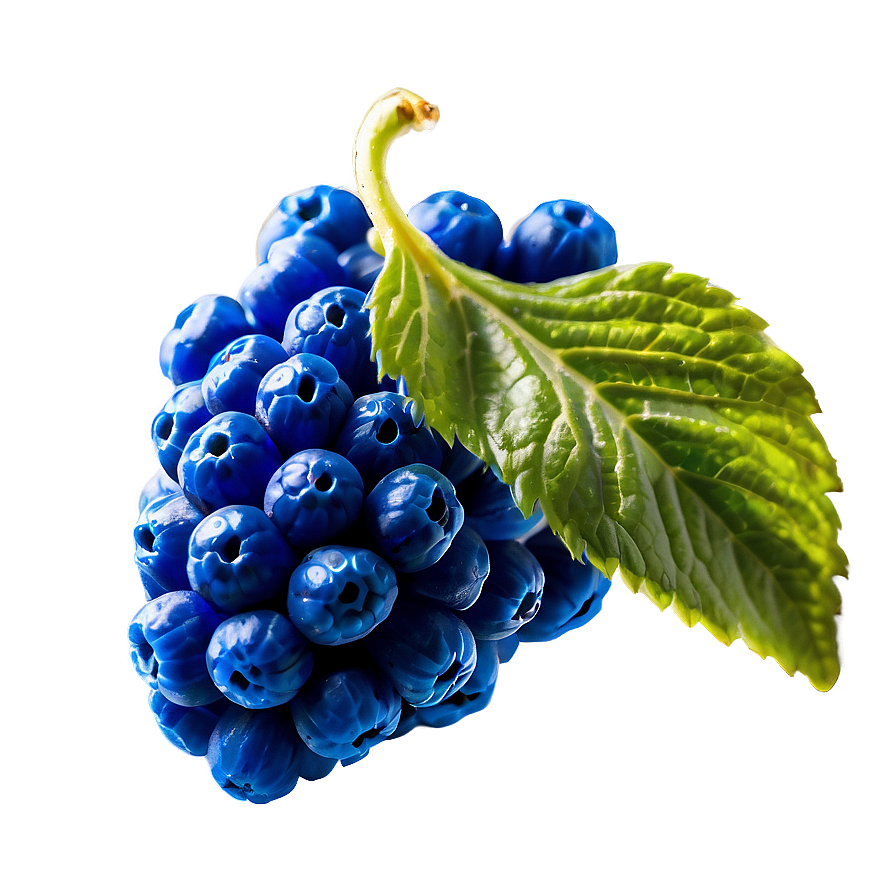 Dazzling Blue Raspberry Png 06212024 PNG image