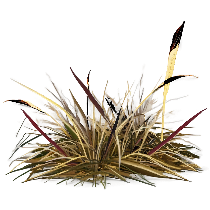 Dead Grass And Leaves Png 06282024 PNG image