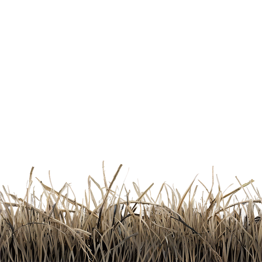 Dead Grass Background Png 06282024 PNG image