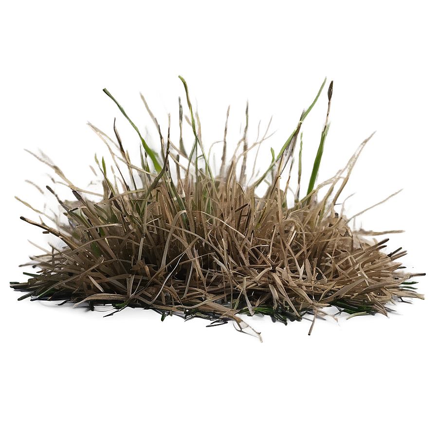 Dead Grass Background Png Bxb38 PNG image