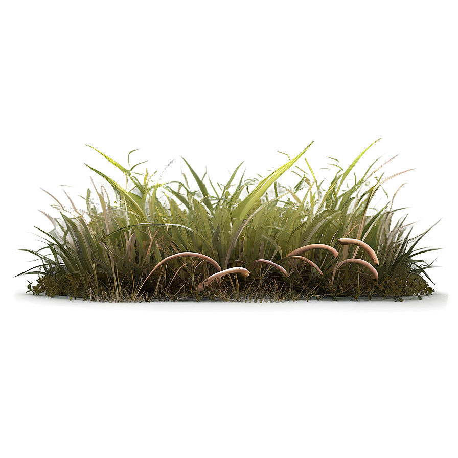 Dead Grass Field Border Png 06282024 PNG image