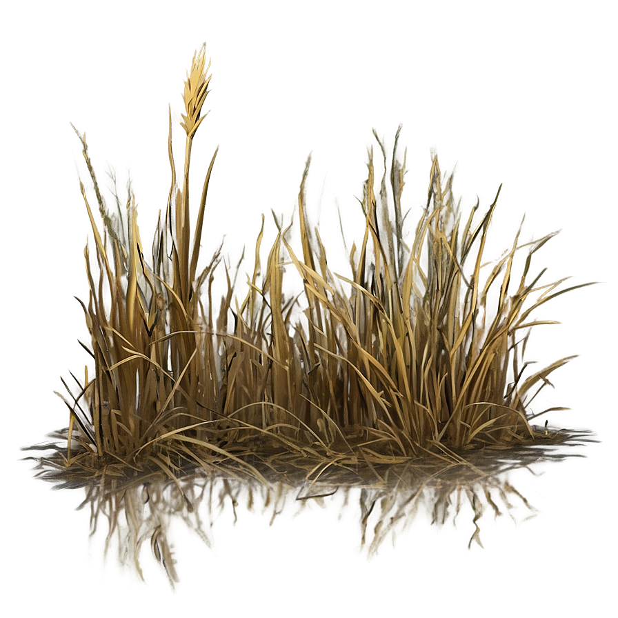 Dead Grass Landscape Png 06262024 PNG image