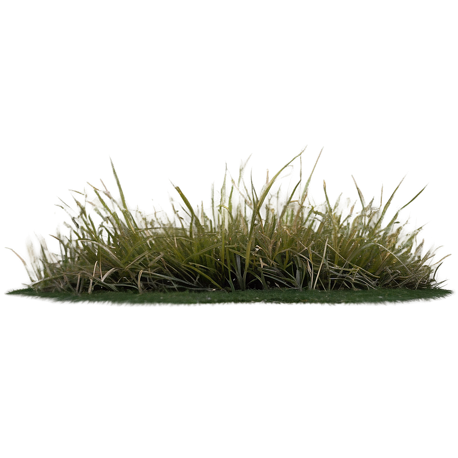 Dead Grass Landscape Png 40 PNG image