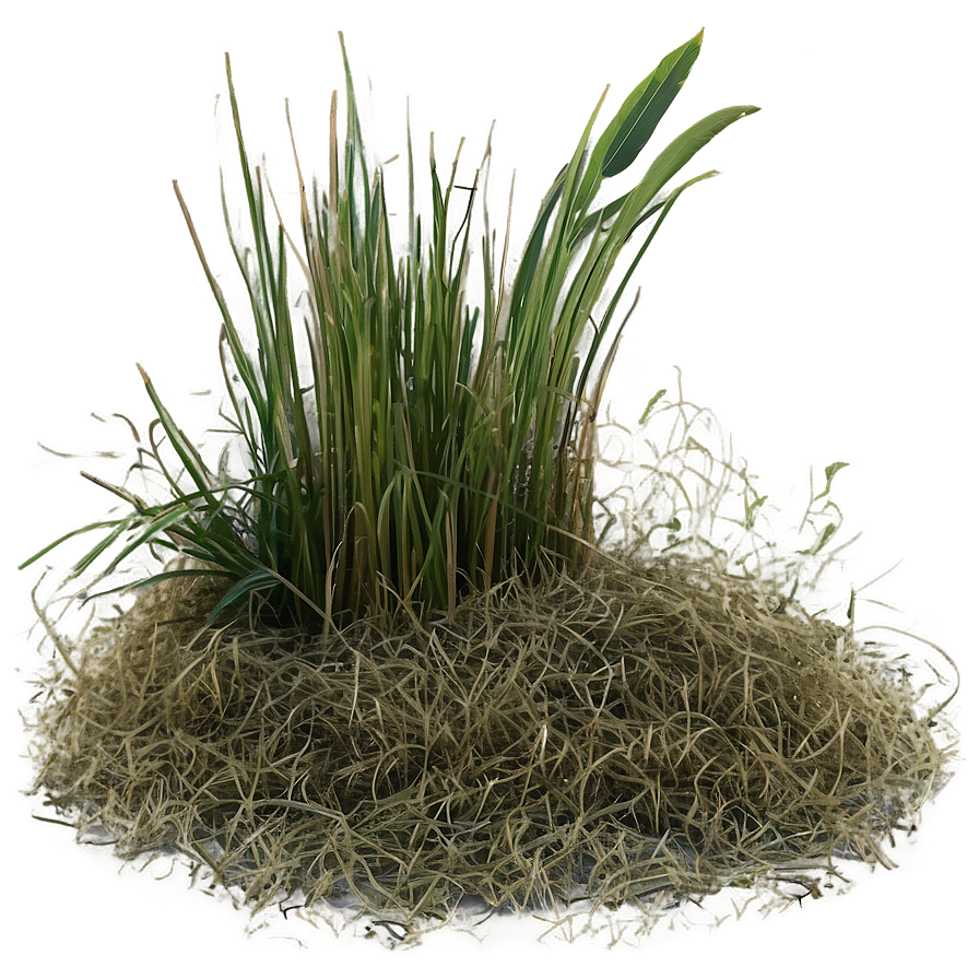 Dead Grass Overlay Png 9 PNG image