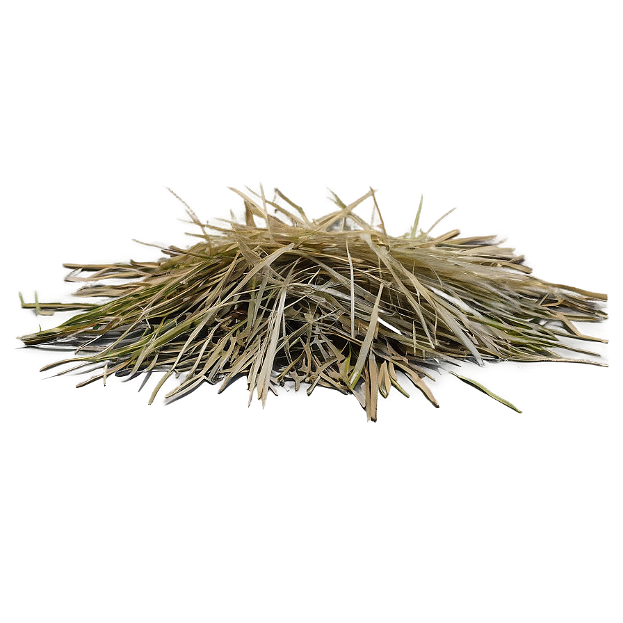 Dead Grass Overlay Png Uqr PNG image