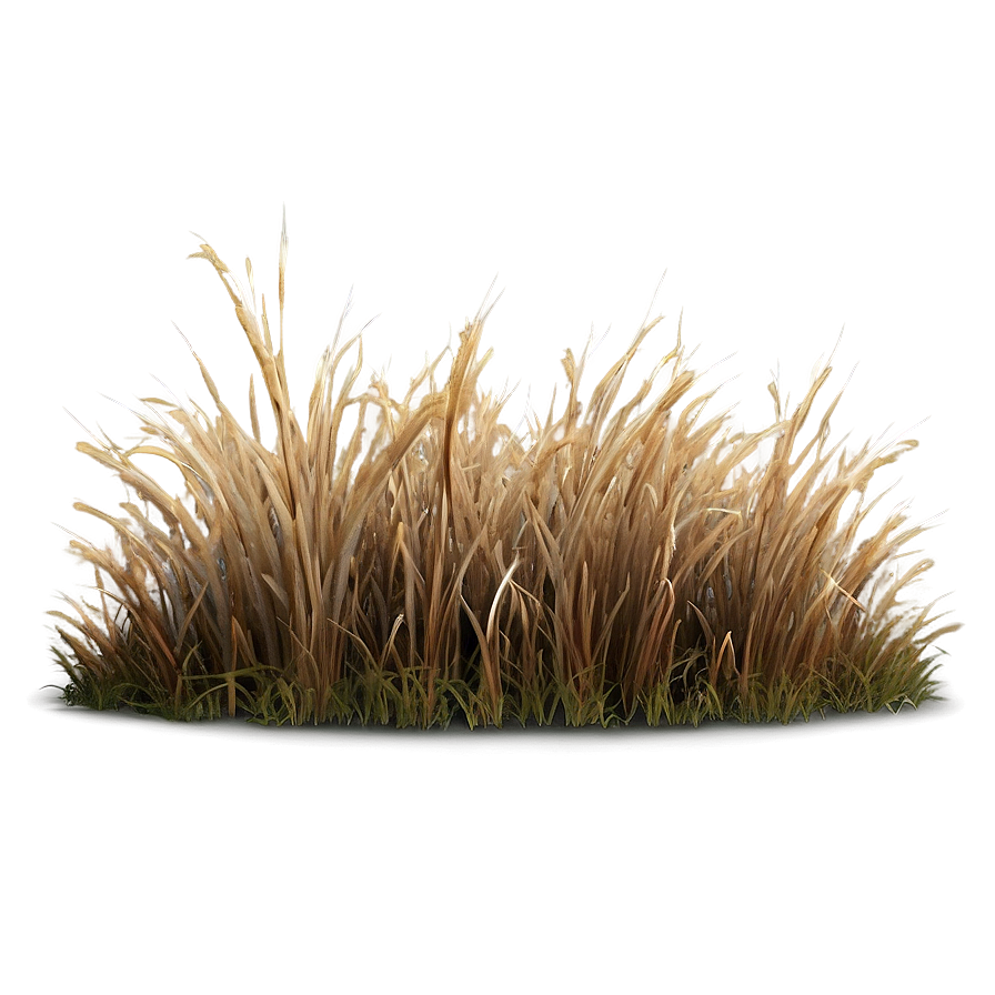 Dead Grass Plain Png 06282024 PNG image