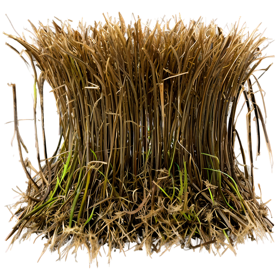 Dead Grass Texture Close-up Png Jtb PNG image