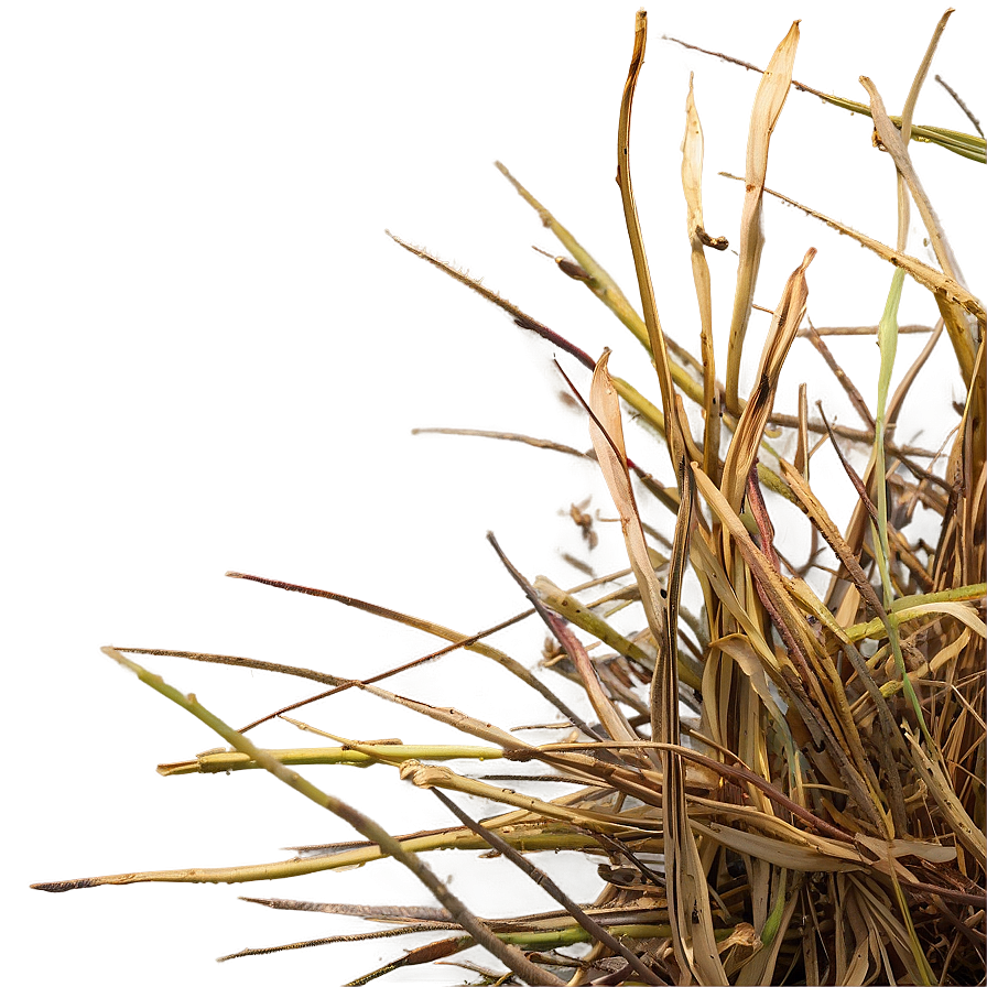 Dead Grass Texture Png Smb10 PNG image