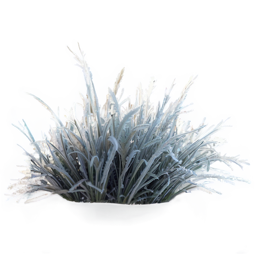 Dead Grass With Frost Png 34 PNG image