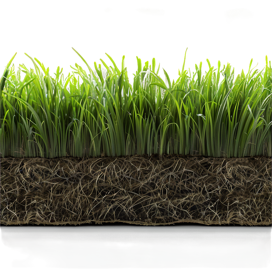 Dead Lawn Grass Png 45 PNG image