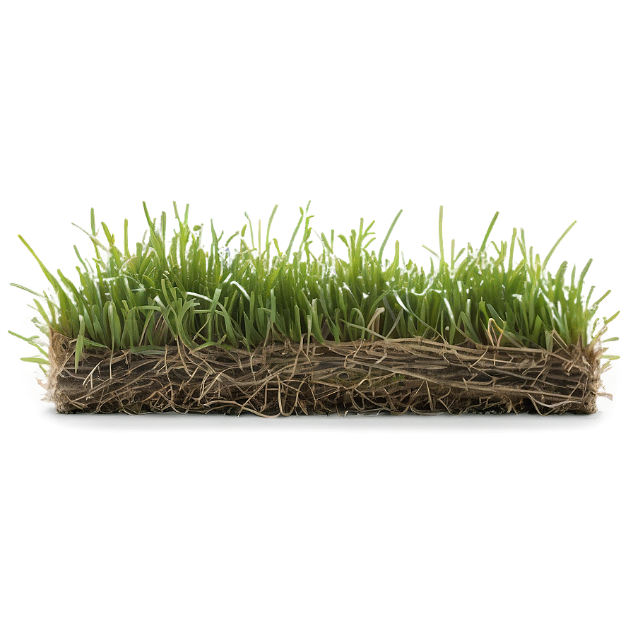 Dead Lawn Grass Png 64 PNG image