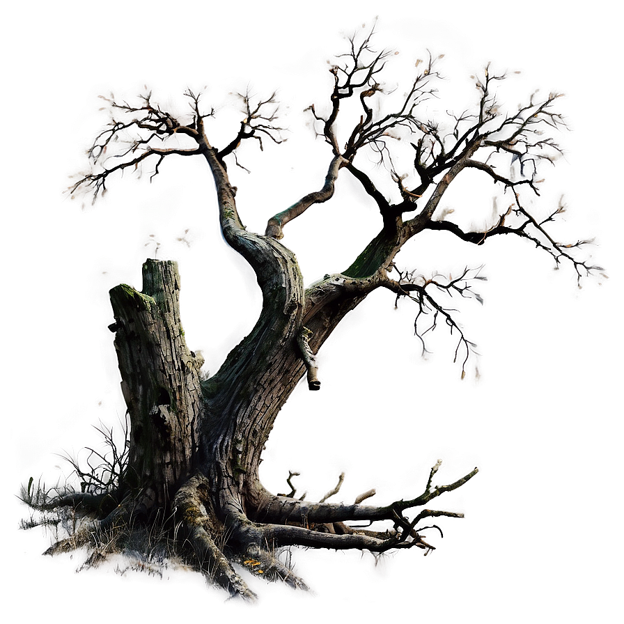 Dead Tree And Fog Png 80 PNG image