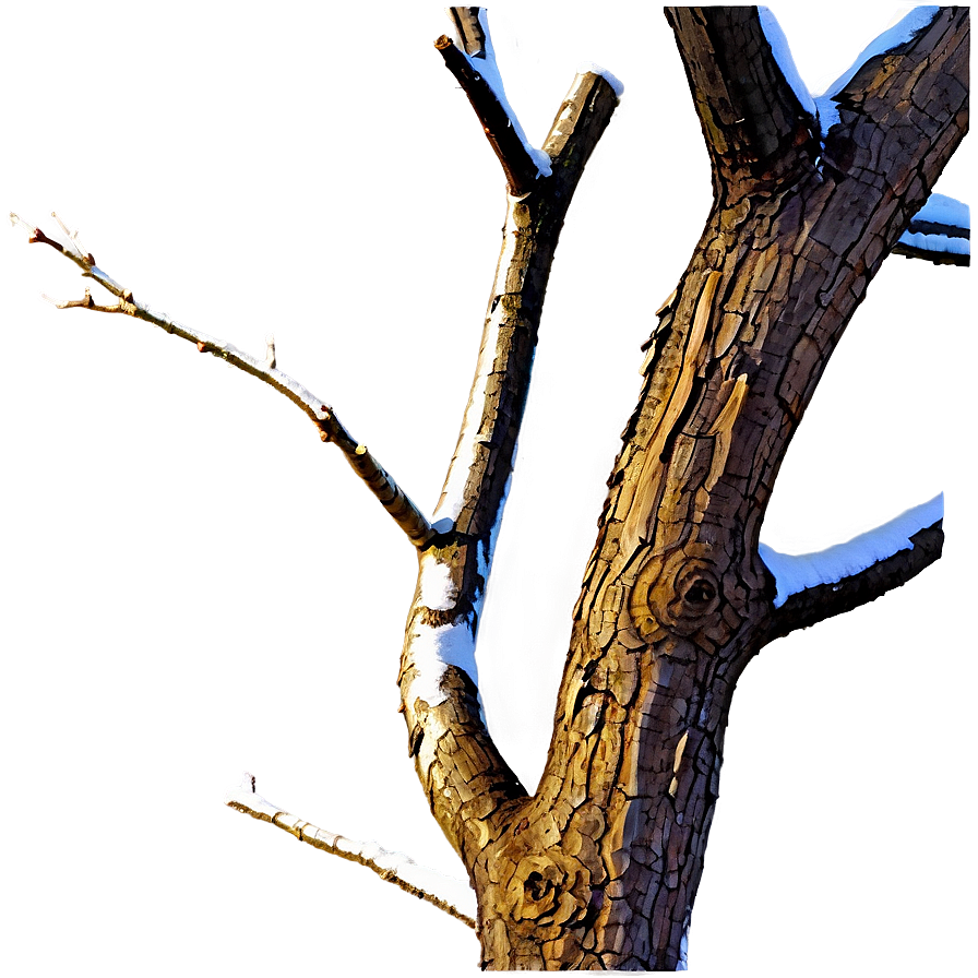 Dead Tree Branch Png 05252024 PNG image