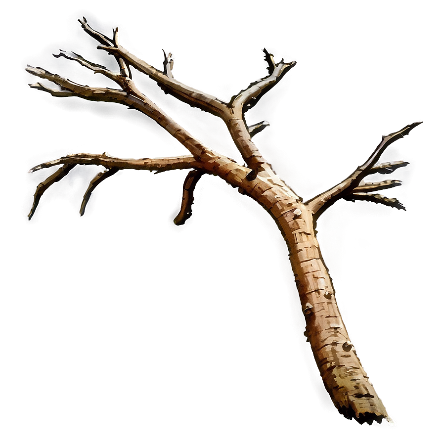 Dead Tree Branch Png Ryj PNG image