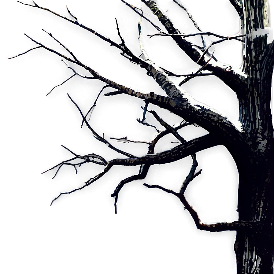 Dead Tree Branches Png Tun36 PNG image