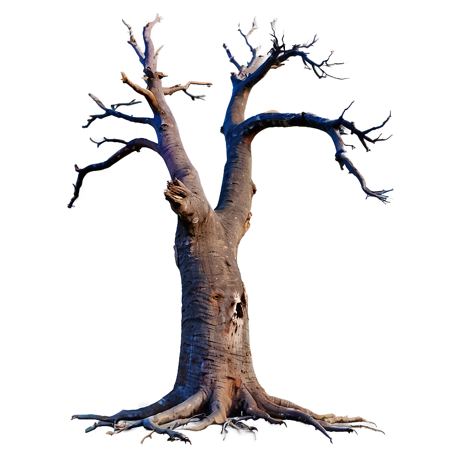 Dead Tree Isolated Png 50 PNG image