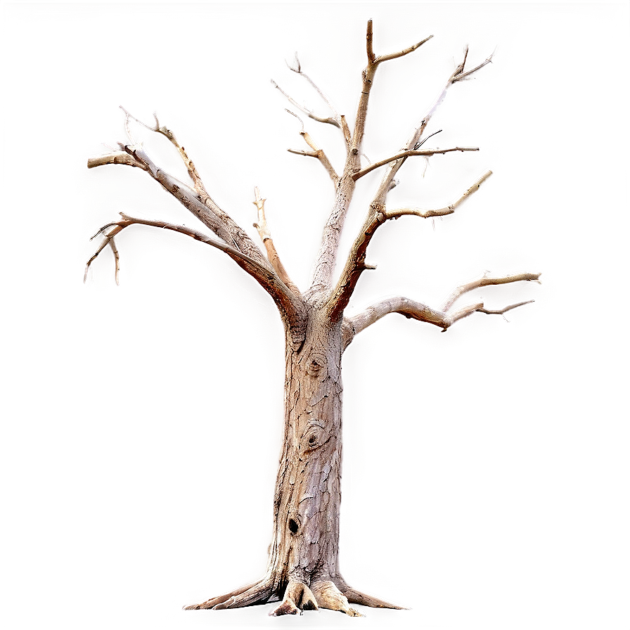 Dead Tree On Dark Background Png Fdk20 PNG image