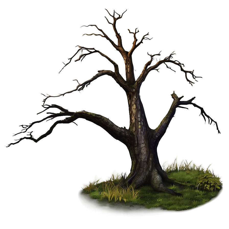 Dead Tree On Hill Png 05252024 PNG image