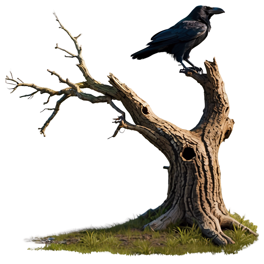 Dead Tree With Raven Png 05252024 PNG image