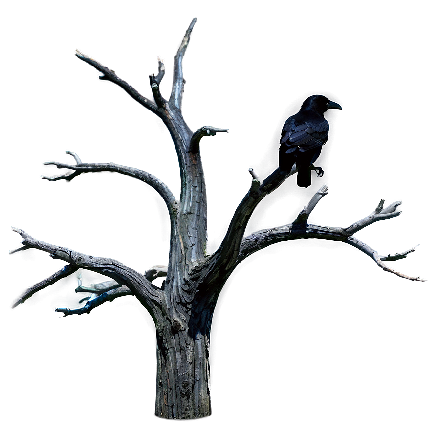 Dead Tree With Raven Png 53 PNG image