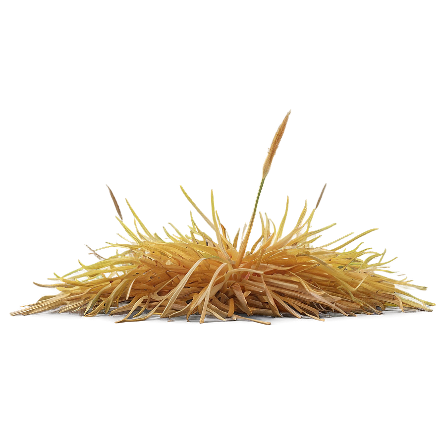 Dead Yellow Grass Png 06282024 PNG image