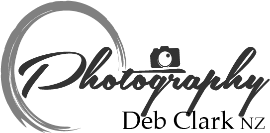 Deb Clark N Z Photography Logo PNG image