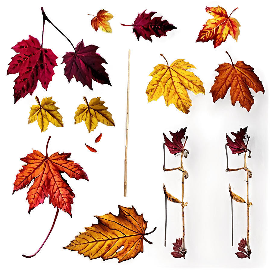 Deciduous Leaves Falling Png 76 PNG image