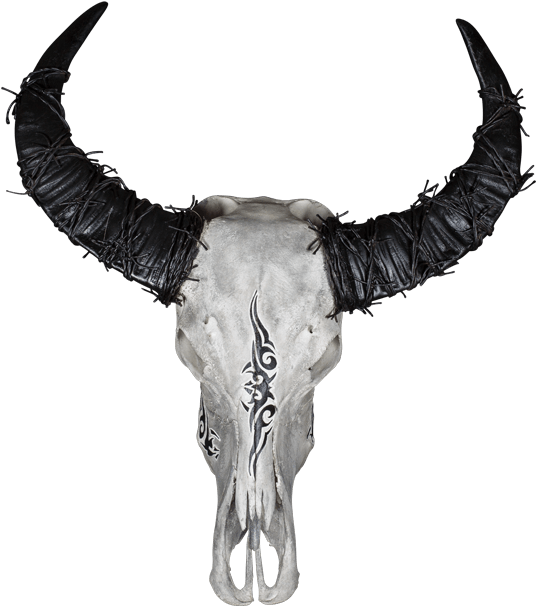 Decorated Goat Skullwith Horns PNG image