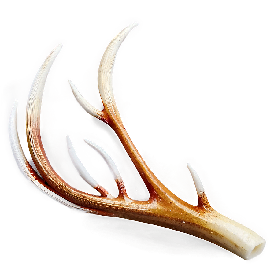 Decorative Deer Antler Motif Png Rho PNG image