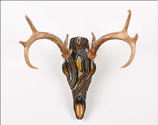 Decorative Deer Skullwith Antlers PNG image