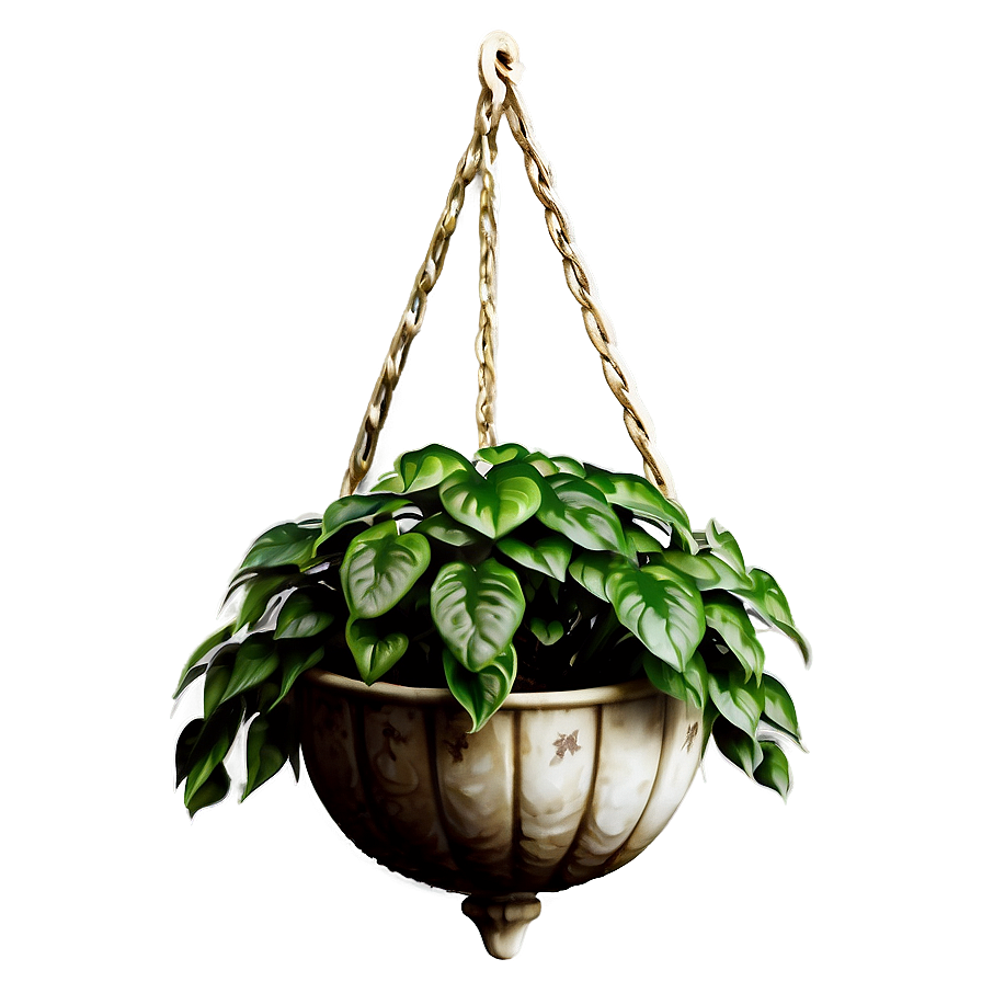 Decorative Hanging Plant Png Qso15 PNG image