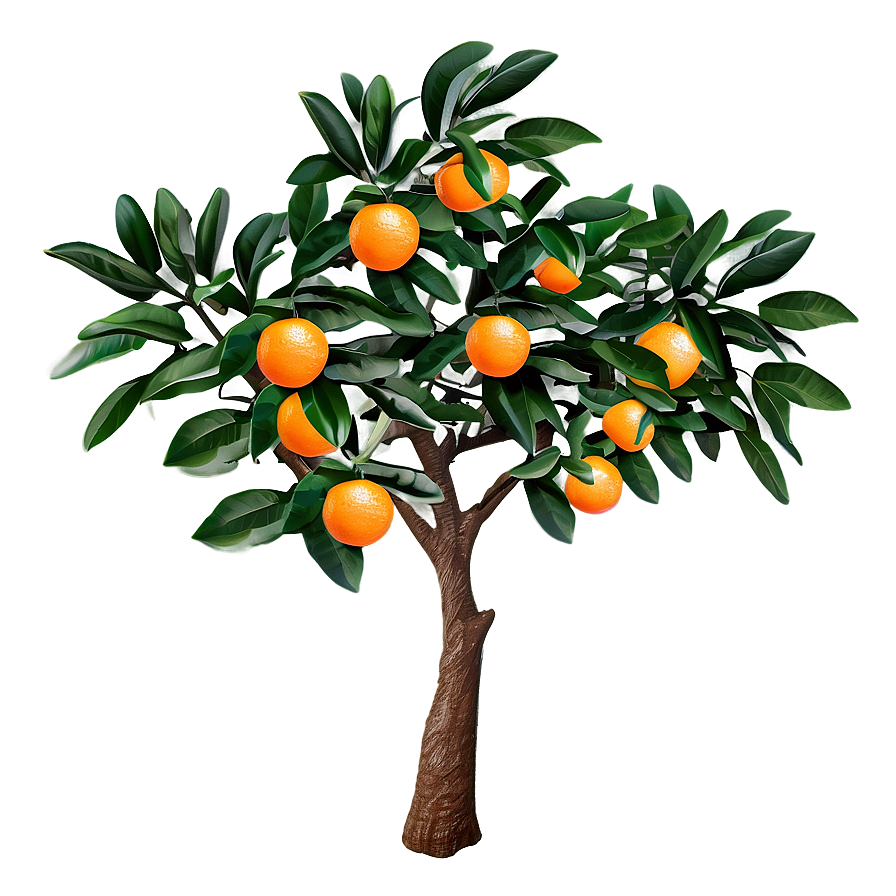 Decorative Orange Tree Png 06132024 PNG image