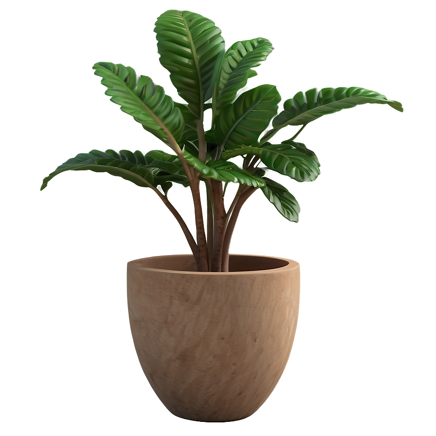 Decorative Small Plant Png 39 PNG image