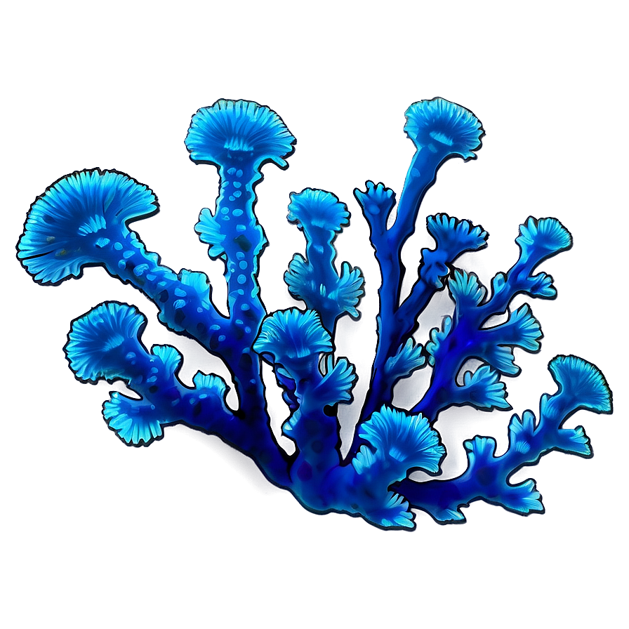 Deep Sea Coral Png 34 PNG image