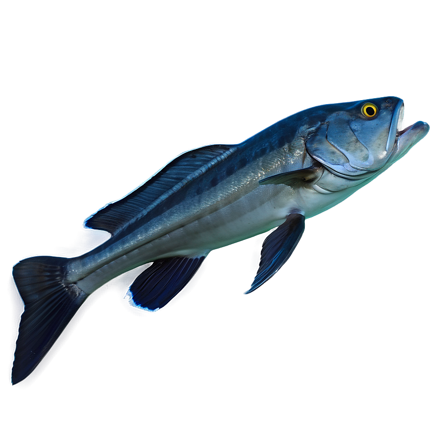 Deep Sea Fishing Adventures Png 40 PNG image